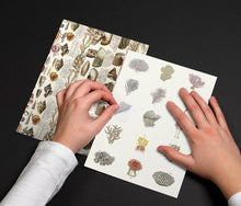 Load image into Gallery viewer, Marine Label Sticker & Tape Book