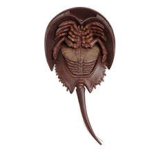Load image into Gallery viewer, Horseshoe Crab Wild Safari