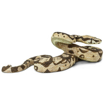 Load image into Gallery viewer, Boa Contrictor Wild Safari