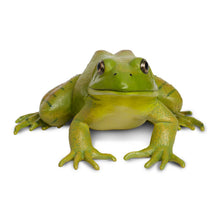 Load image into Gallery viewer, American Bullfrog Wild Safari