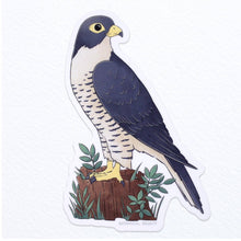 Load image into Gallery viewer, Falcon Bird Waterproof Vinyl Sticker
