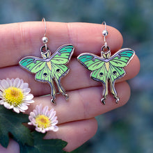 Load image into Gallery viewer, Luna Moth Dangle Earrings: Gold