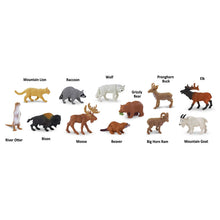 Load image into Gallery viewer, North American Wildlife