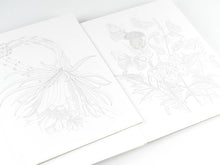 Load image into Gallery viewer, Natural History Artists' Colouring Book