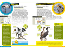 Load image into Gallery viewer, National Geographic Kids Ultimate Explorer Field Guide: Birds