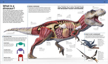 Load image into Gallery viewer, Dinosaur!