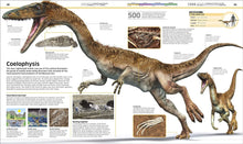 Load image into Gallery viewer, Dinosaur!