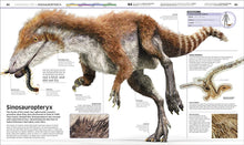 Load image into Gallery viewer, Dinosaur!