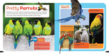 Load image into Gallery viewer, Little Kid's First Nature Guide: Birds