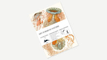 Load image into Gallery viewer, Art Forms In Nature Gift & Creative Paper Book Vol. 83