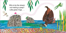 Load image into Gallery viewer, The Very Hungry Caterpillar's Forest Hide & Seek
