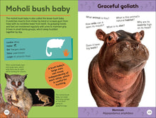 Load image into Gallery viewer, Smithsonian Quiz: Animals of the World