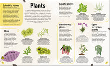 Load image into Gallery viewer, Magic Miniature Worlds