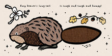 Load image into Gallery viewer, Touch And Feel Tails