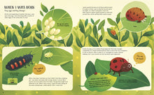 Load image into Gallery viewer, The Secret Life Of Bugs