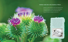 Load image into Gallery viewer, Who Knew? The Wonders of Biomimicry