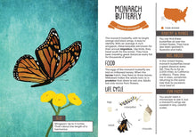 Load image into Gallery viewer, Kid's Guide to Backyard Bugs