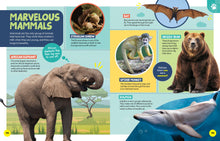 Load image into Gallery viewer, National Geographic Kids: Encyclopedia of Almost Everything