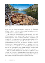 Load image into Gallery viewer, California Lizards and How to Find Them