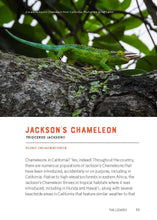 Load image into Gallery viewer, California Lizards and How to Find Them