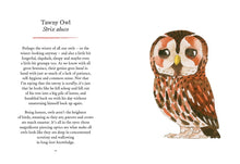 Load image into Gallery viewer, Owls: Our Most Charming Bird