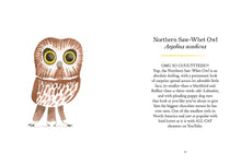 Load image into Gallery viewer, Owls: Our Most Charming Bird