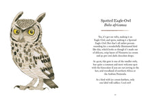 Load image into Gallery viewer, Owls: Our Most Charming Bird