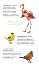 Load image into Gallery viewer, Soaring, Singing Tattoo Birds