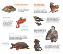 Load image into Gallery viewer, Wild, Wonderful Tattoo Woodland Animals