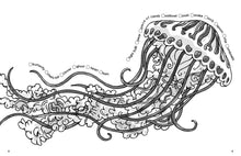 Load image into Gallery viewer, Hidden In Nature Coloring Book