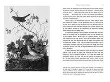 Load image into Gallery viewer, The Birds That Audubon Missed