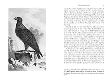 Load image into Gallery viewer, The Birds That Audubon Missed