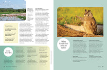 Load image into Gallery viewer, Lonely Planet Kids: The Joy Of Birdwatching