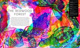 Load image into Gallery viewer, Illuminature