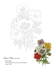 Load image into Gallery viewer, Drawn by a Lady: Early Women Illustrators Coloring Book