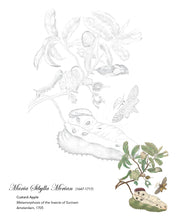Load image into Gallery viewer, Drawn by a Lady: Early Women Illustrators Coloring Book