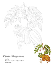 Load image into Gallery viewer, Drawn by a Lady: Early Women Illustrators Coloring Book