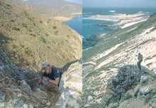 Load image into Gallery viewer, Birds of California's Channel Islands (PREORDER)