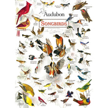 Load image into Gallery viewer, Audubon Songbirds 1000pc Puzzle
