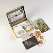 Load image into Gallery viewer, Art Forms In Nature Letter Writing Set