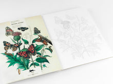 Load image into Gallery viewer, Natural History Artists' Colouring Book
