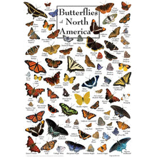 Load image into Gallery viewer, Butterflies of North America 1000pc Puzzle