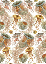 Load image into Gallery viewer, Art Forms In Nature Gift & Creative Paper Book Vol. 83