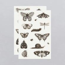 Load image into Gallery viewer, Insects Tattoo Sheet