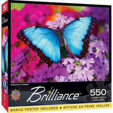 Load image into Gallery viewer, Brilliance Iridescence 550pc Puzzle