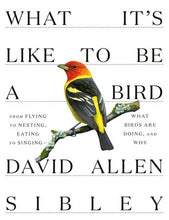 Load image into Gallery viewer, What It's Like to Be a Bird