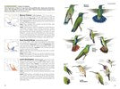 Load image into Gallery viewer, National Geographic Field Guide Birds of N. America 7th Edition