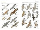 Load image into Gallery viewer, National Geographic Field Guide Birds of N. America 7th Edition