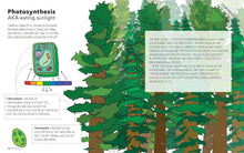 Load image into Gallery viewer, Seeing Science: An Illustrated Guide to the Wonders of the Universe