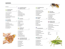 Load image into Gallery viewer, How Insects Work